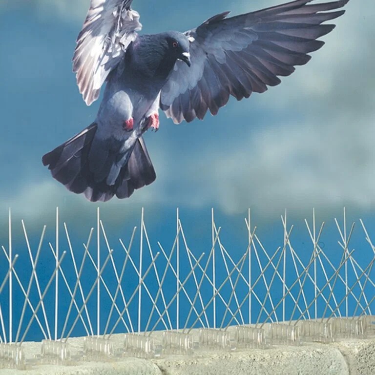 imgi_21_شركة-تركيب-سلك-طارد-للحمام-في-دبي-768x768